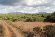 Monte bajo y tierras de cultivo con las monta�as de Art� al fondo