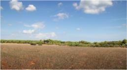 Grandes extensiones de tierras de cultivo