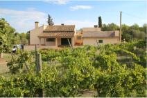 1.500 cepas de vi�a, de la variedad "viognier", con riego