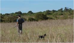 La caza salvaje en "Es Ravell�"